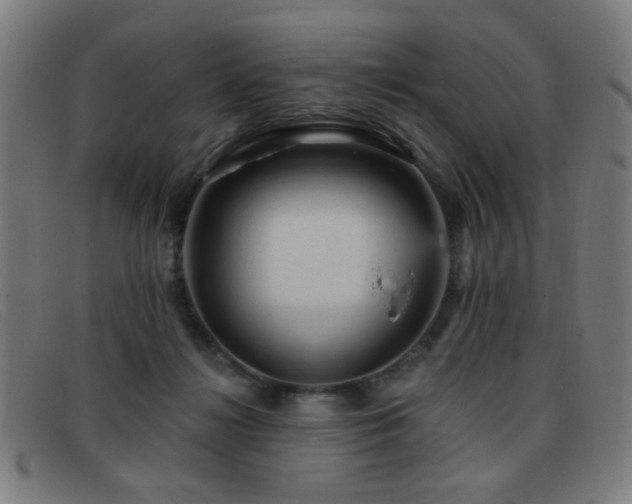 X0000092040268200709121159