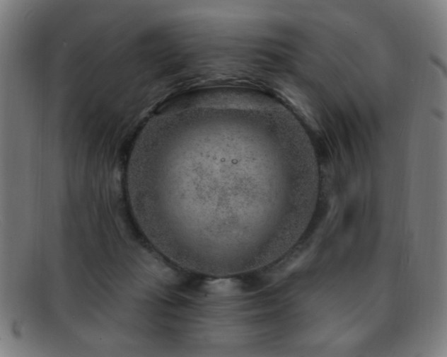 X0000092040269200709121159