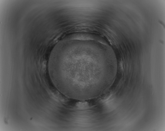 X0000092040271200709121159