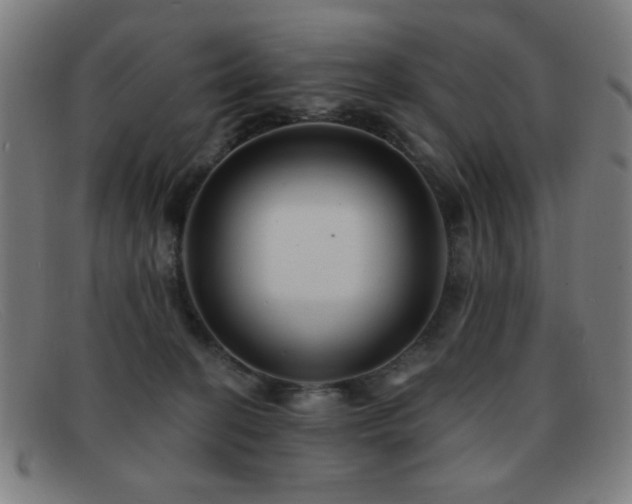 X0000092040274200709121159