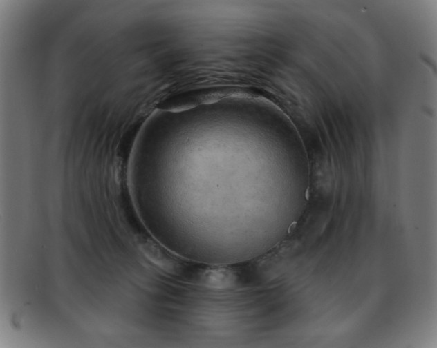 X0000092040275200709121159