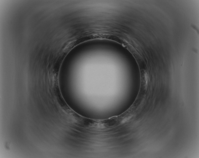 X0000092040276200709121159