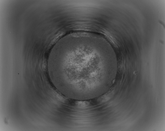 X0000092040277200709121159