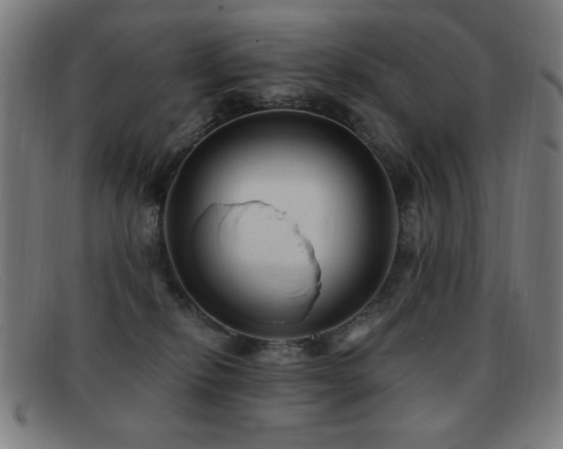 X0000092040278200709121159