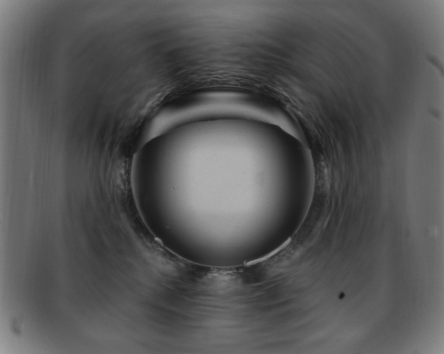 X0000092040280200709121159