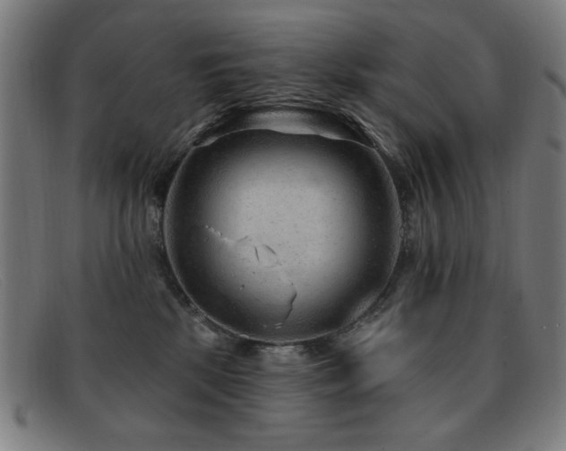 X0000092040281200709121159