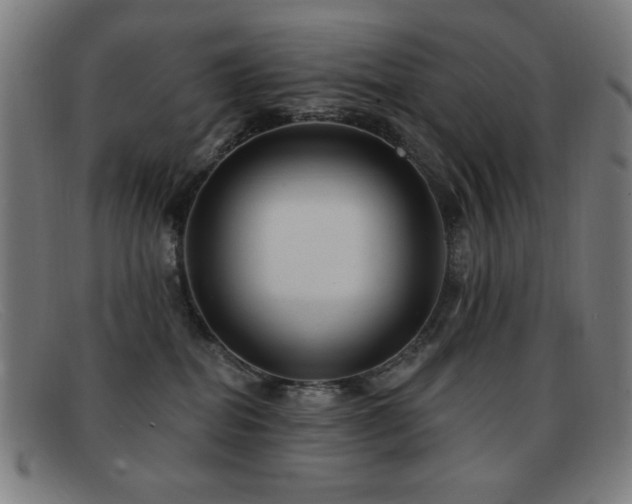 X0000092040282200709121159