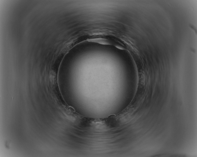 X0000092040283200709121159