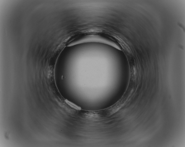 X0000092040284200709121159