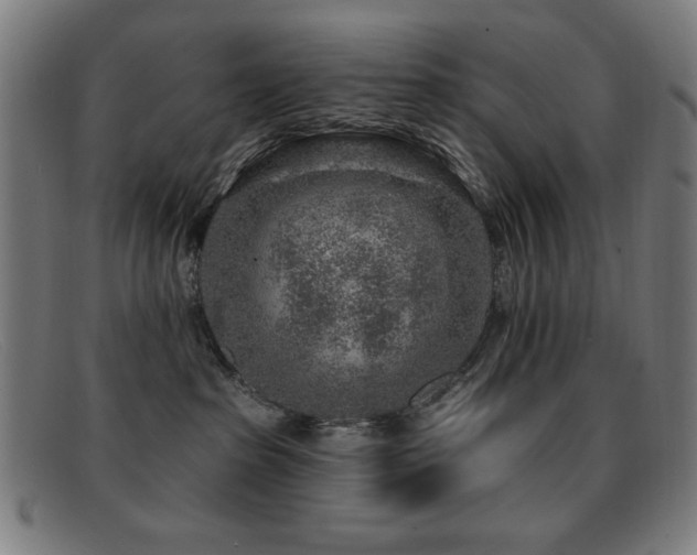 X0000092040285200709121159