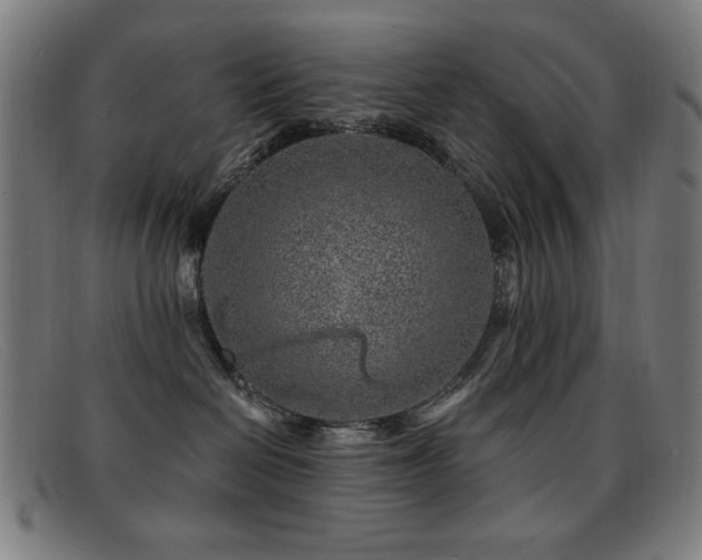 X0000092040286200709121159