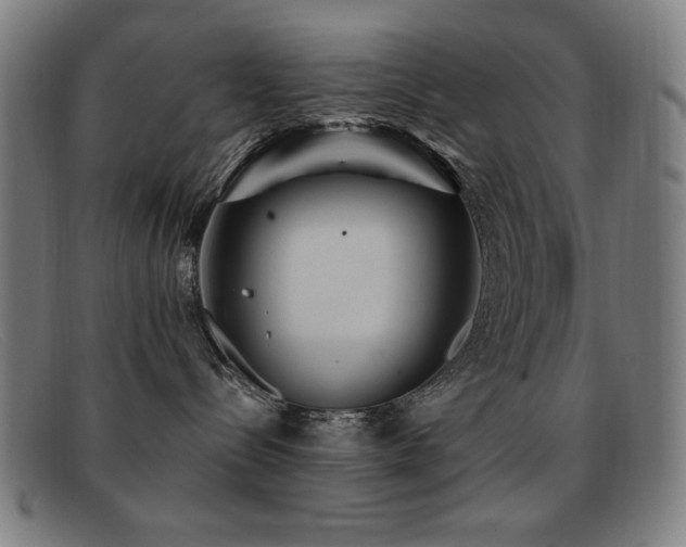 X0000092040288200709121159