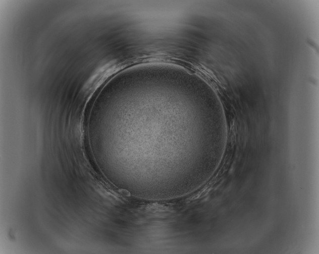 X0000092040290200709121158