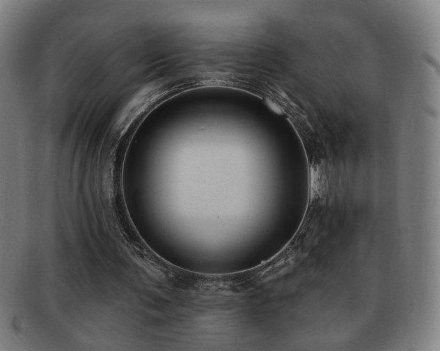 X0000092040291200709121158