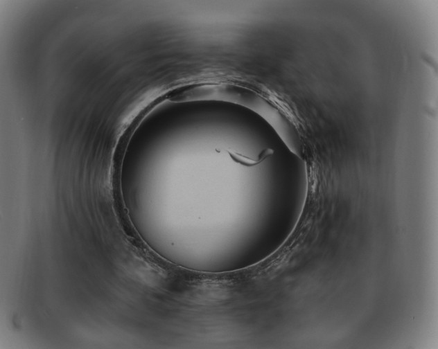 X0000092040292200709121158