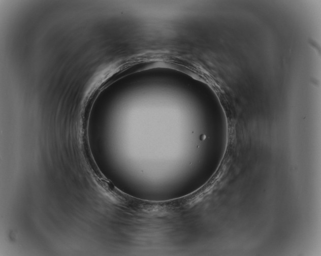 X0000092040293200709121158