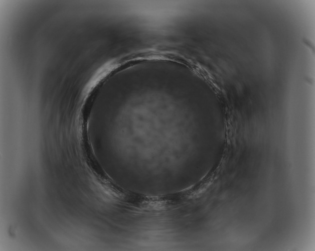 X0000092040295200709121158