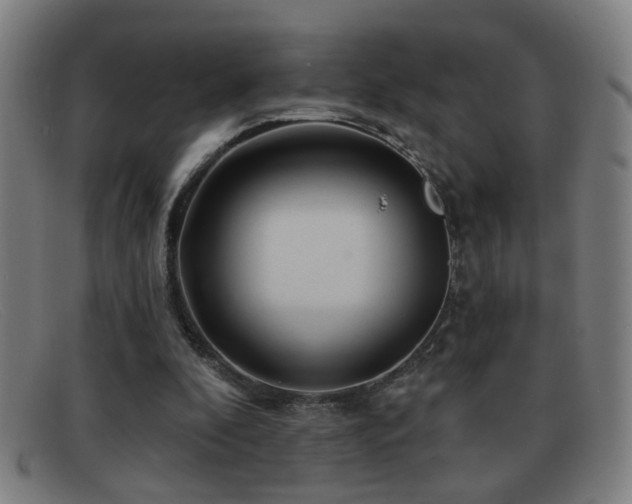 X0000092040296200709121158