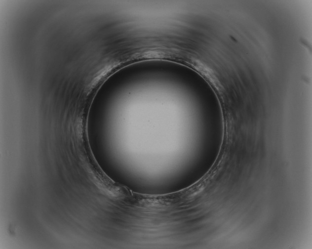 X0000092040297200709121158