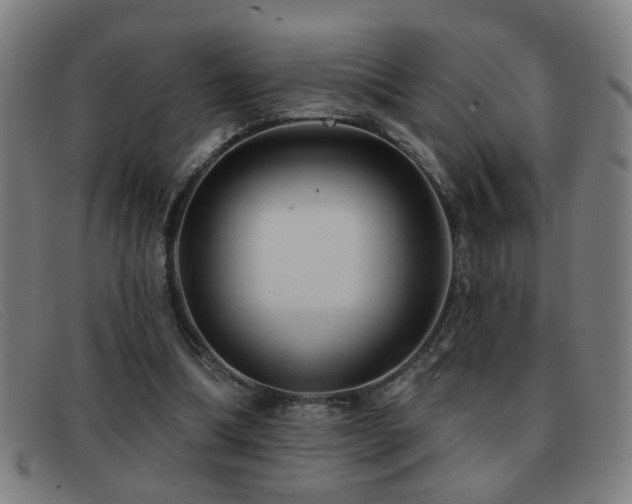 X0000092040298200709121158