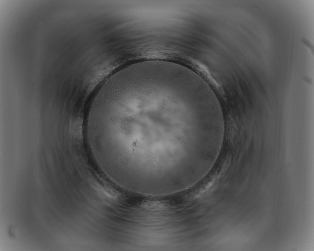 X0000092040299200709121158