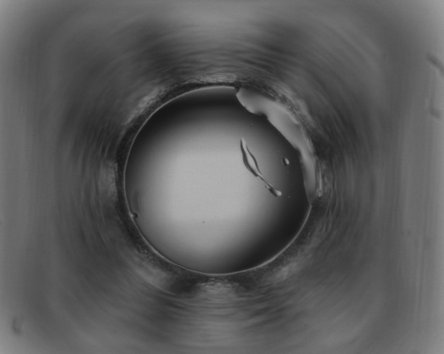 X0000092040300200709121158