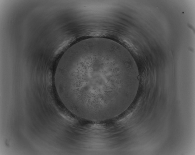 X0000092040303200709121158