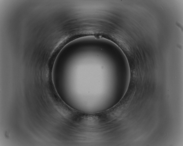 X0000092040304200709121158