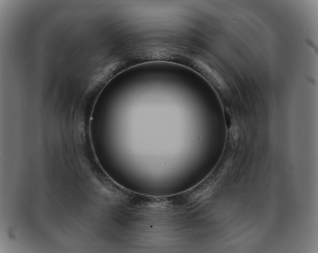 X0000092040306200709121158