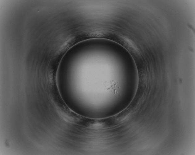 X0000092040312200709121158