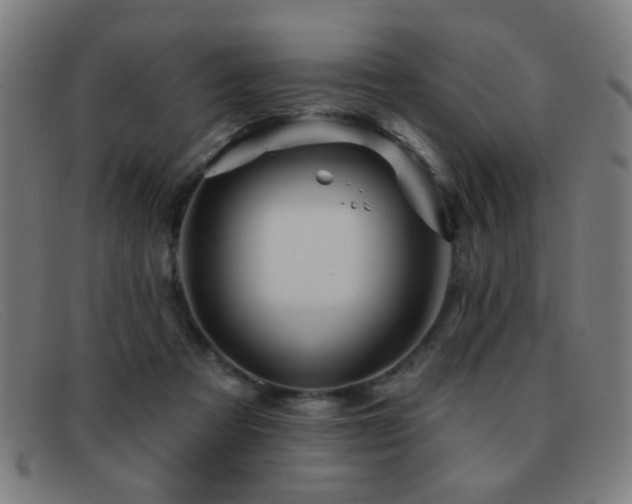 X0000092040313200709121158