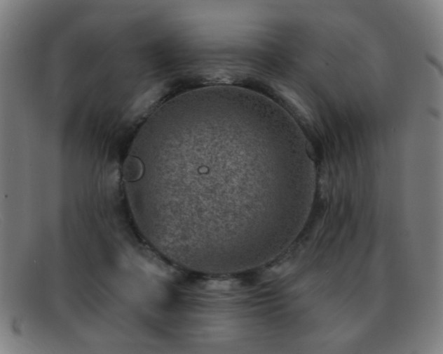 X0000092040314200709121158