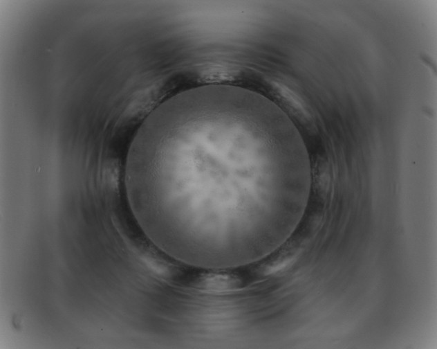 X0000092040315200709121158