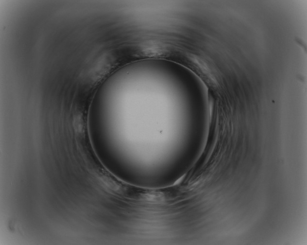 X0000092040317200709121158