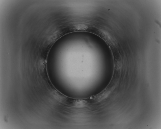 X0000092040321200709121158