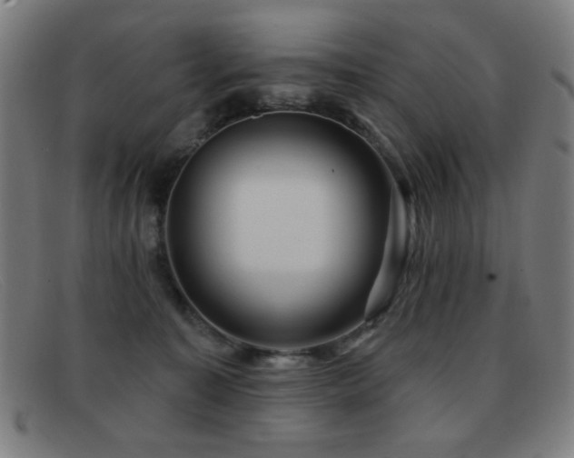 X0000092040323200709121158