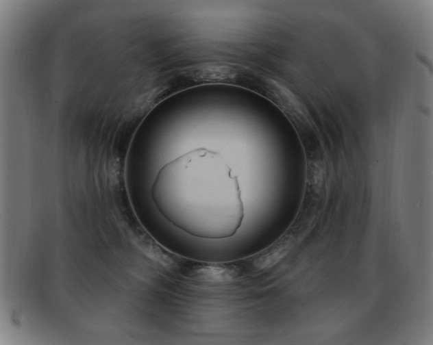 X0000092040326200709121158