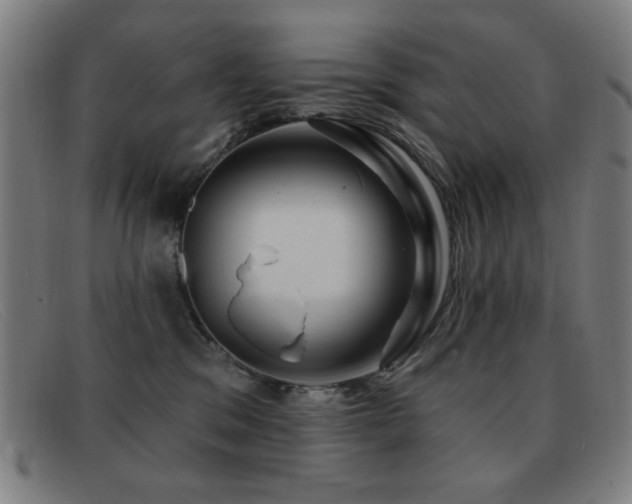 X0000092040329200709121158