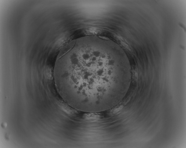 X0000092040331200709121158