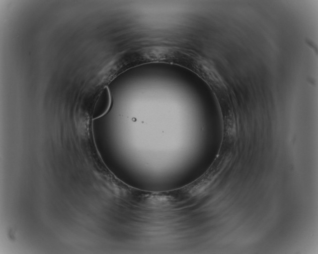 X0000092040332200709121158