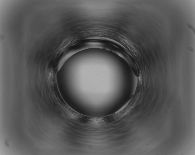 X0000092040333200709121158