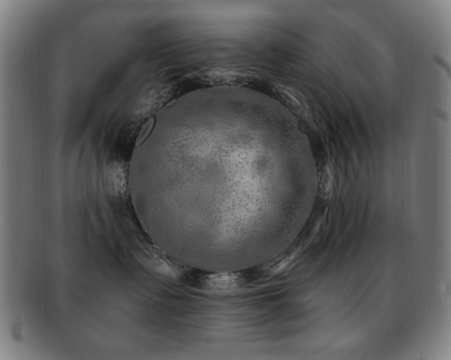 X0000092040335200709121158