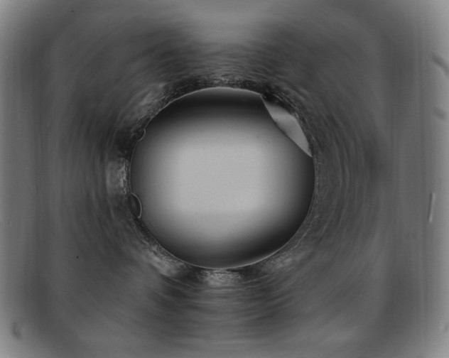 X0000092040336200709121158