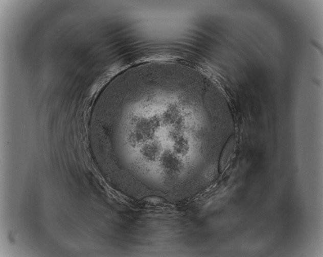 X0000092040337200709121157