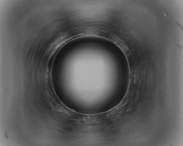 X0000092040338200709121157