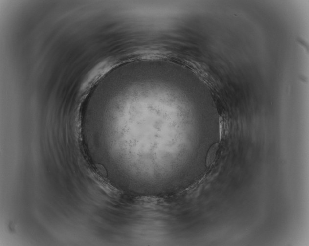 X0000092040339200709121157