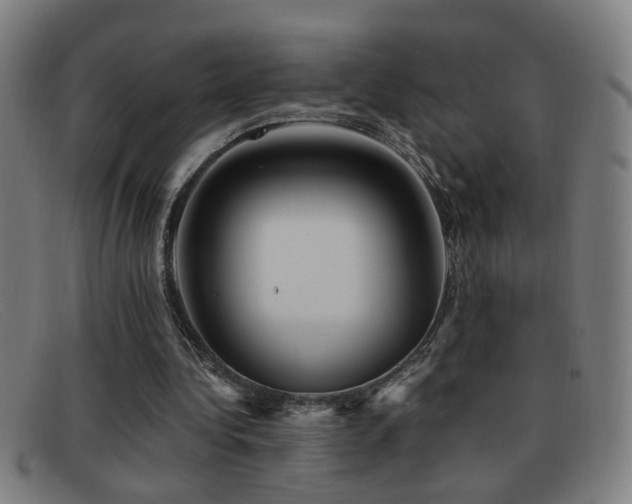 X0000092040340200709121157