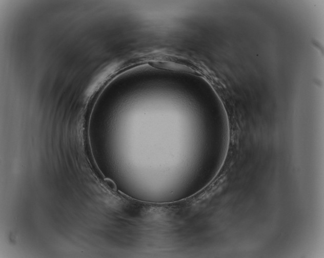 X0000092040341200709121157