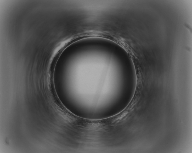 X0000092040342200709121157