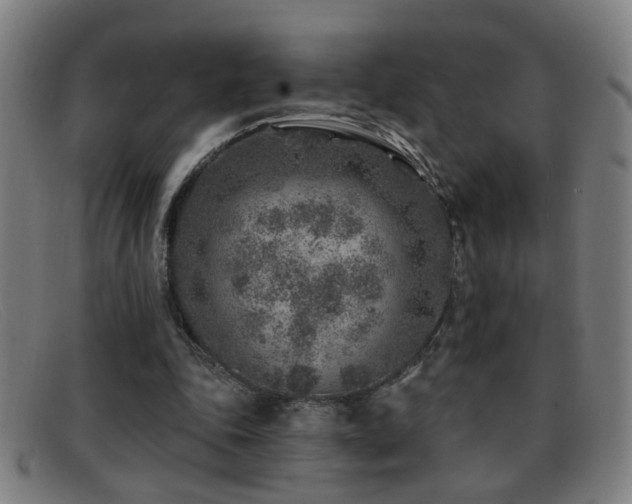 X0000092040343200709121157